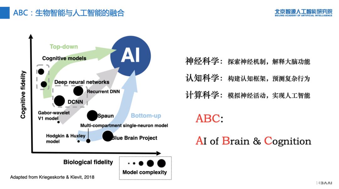 智源研究院发布“人工智能的认知神经基础”重大研究方向