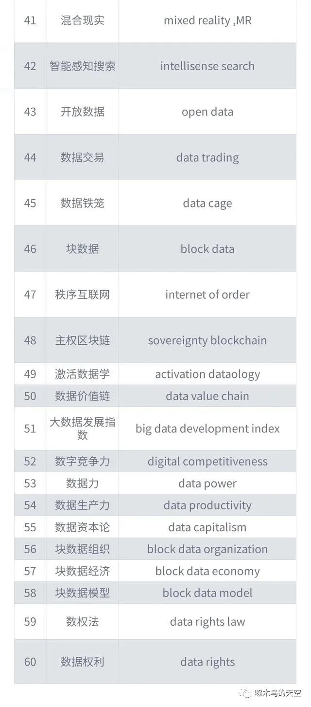 大数据新词（中英对照）发布试用