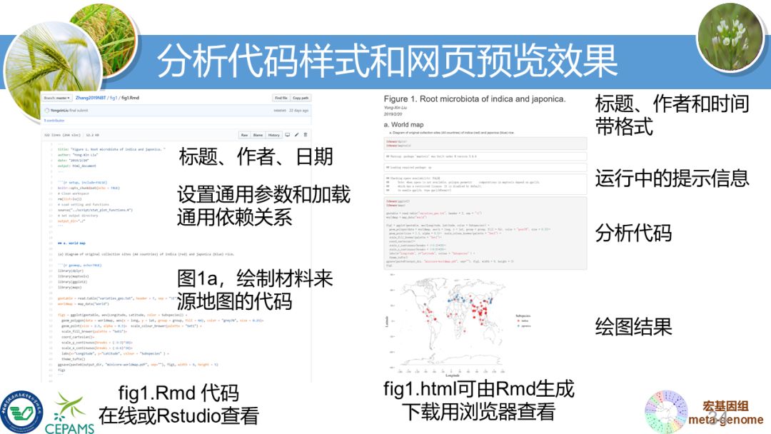 R语言大会：宏基因组数据分析和可视化套路总结