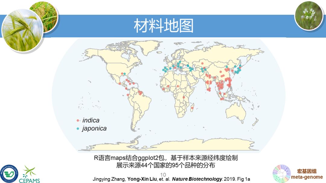 R语言大会：宏基因组数据分析和可视化套路总结