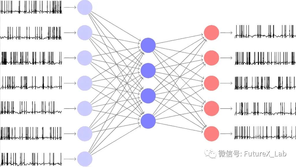 最大规模的脉冲神经网络类脑计算机问世