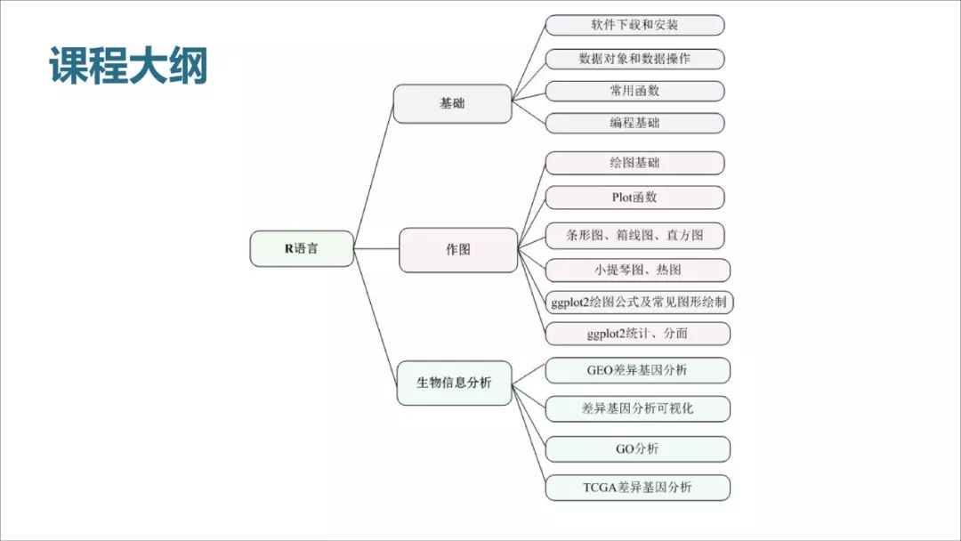 R语言数据分析和画图基础讲解