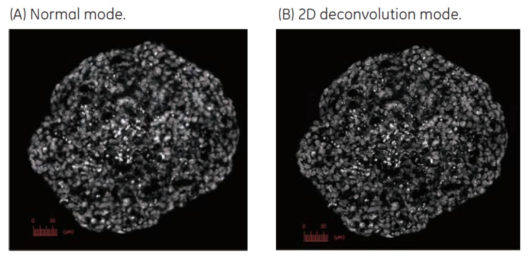 IN Cell Analyzer应用秘籍系列——第一式