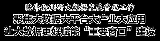 陈伟俊调研大数据发展管理工作，让大数据更好赋能“重要窗口”建设