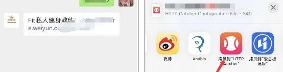 【iOS】HTTP网球/Thor锤子使用教程