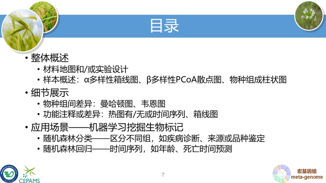 R语言大会：宏基因组数据分析和可视化套路总结