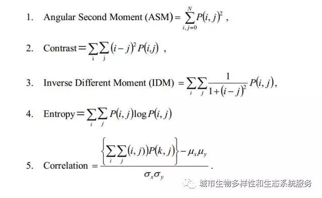 基于前馈神经网络和支持向量机分类器的叶片识别