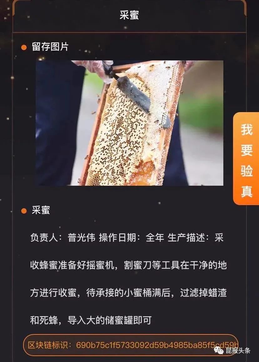 区块链，昆明“玩”得怎么样了？