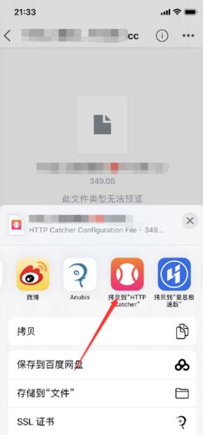 HTTP网球使用教程