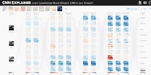 卷积神经网络可视化神器CNN Explainer