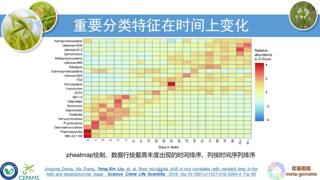 R语言大会：宏基因组数据分析和可视化套路总结