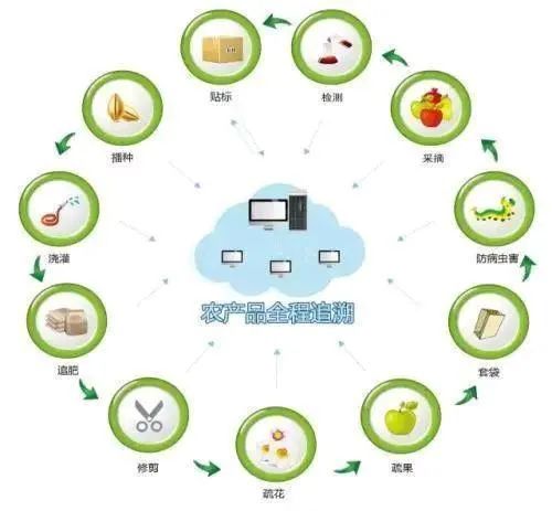 区块链+农业，生态农业新蓝海