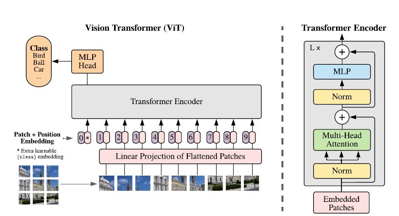 告别卷积神经网络CNN？计算机视觉也能用上 Transformer 了