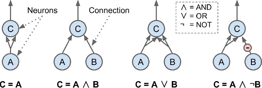 从生物学到神经元：人工神经网络 ( ANN ) 简介