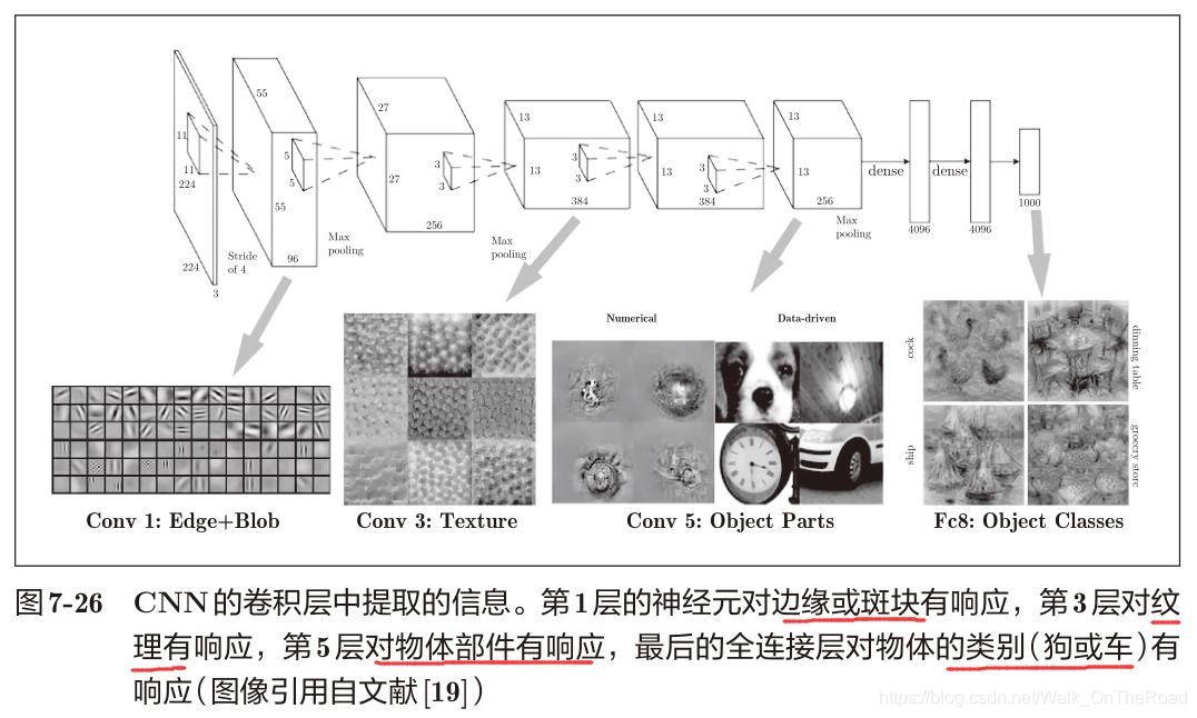 【基础详解】手磕实现 CNN卷积神经网络！