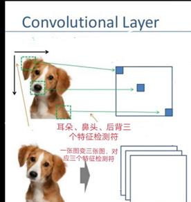 史上最全的卷积神经网络介绍，深入浅出了解AI的数学算法......