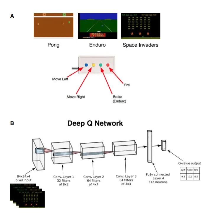 玩电子游戏的神经网络，告诉我们大脑是如何决策的