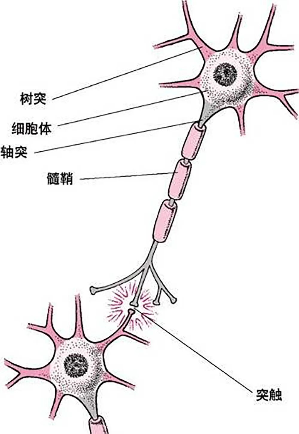 人工神经网络在污水处理中的应用