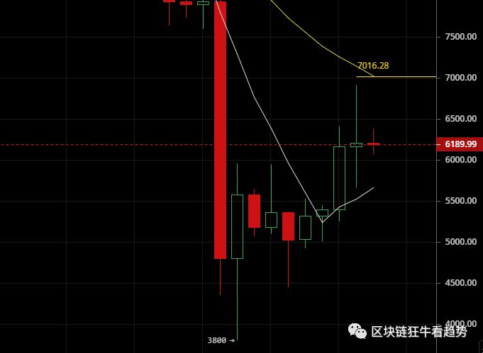 美暂停所有常规签证，数字货币跌到位了吗？我们等待疫情拐点。