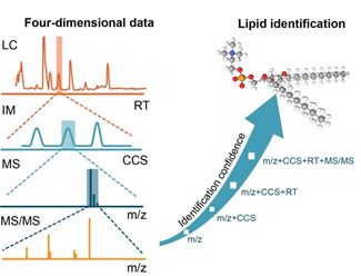 全平台全维度脂质鉴定的新利器 -- LipidIMMS Analyzer