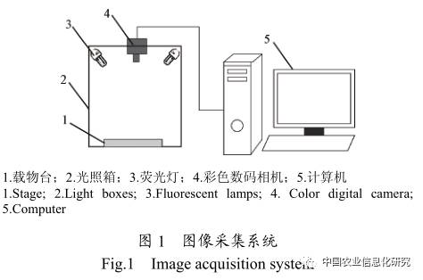 基于最优二叉树支持向量机的蜜柚叶部病害识别方法