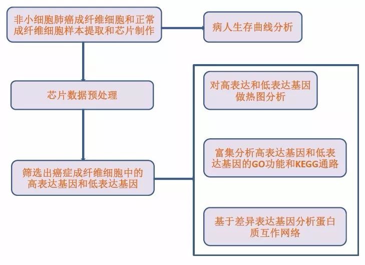 测序与芯片高通量数据挖掘与分析学习班