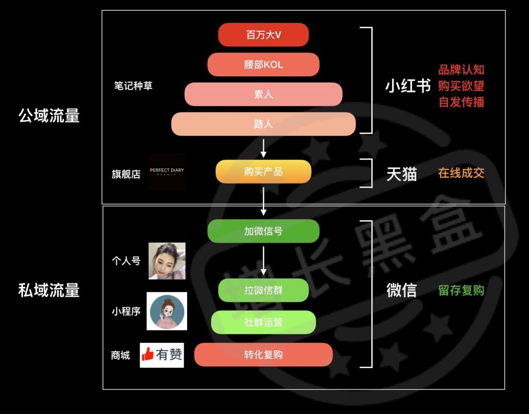 通过数据挖掘，我们研究了完美日记的两大增长策略