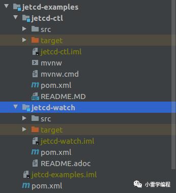 Jetcd源码以及raft算法的分析(下)