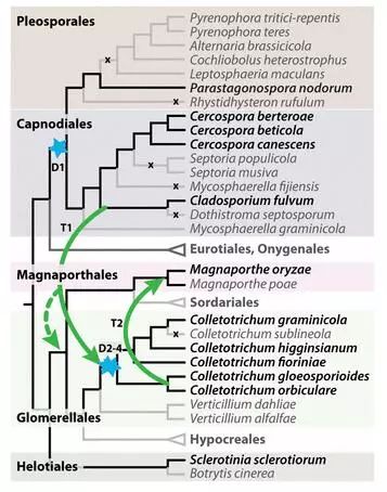 一手把握聚类分析，轻松实现数据挖掘的可视化