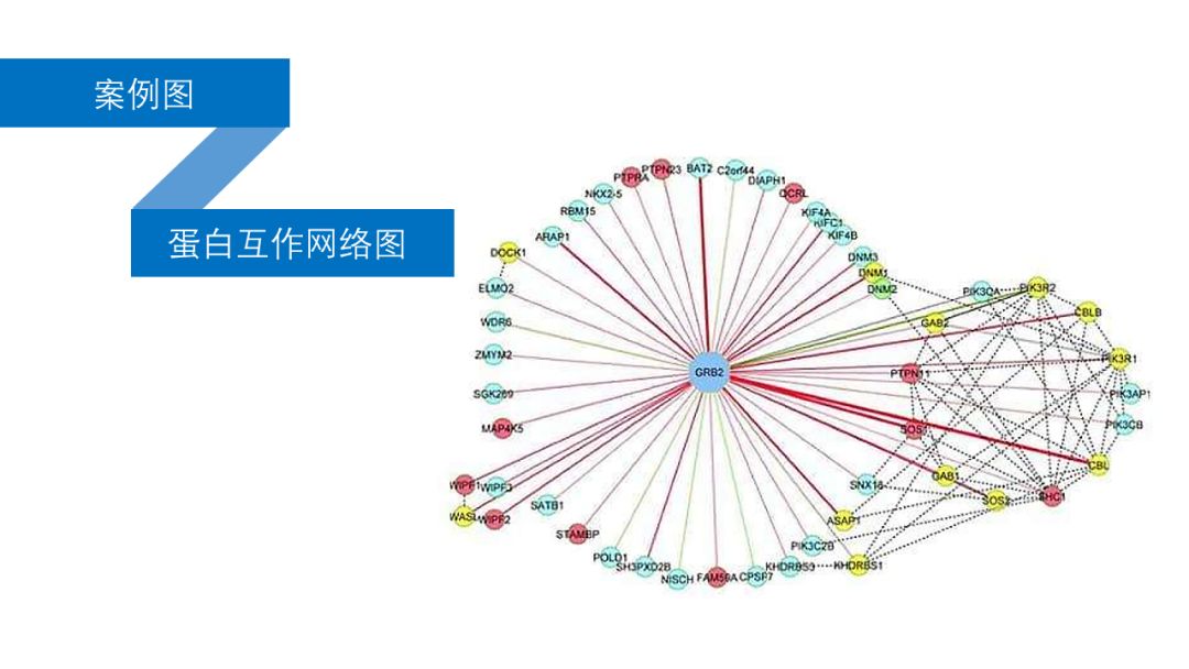 高通量数据挖掘与分析应该怎么学？