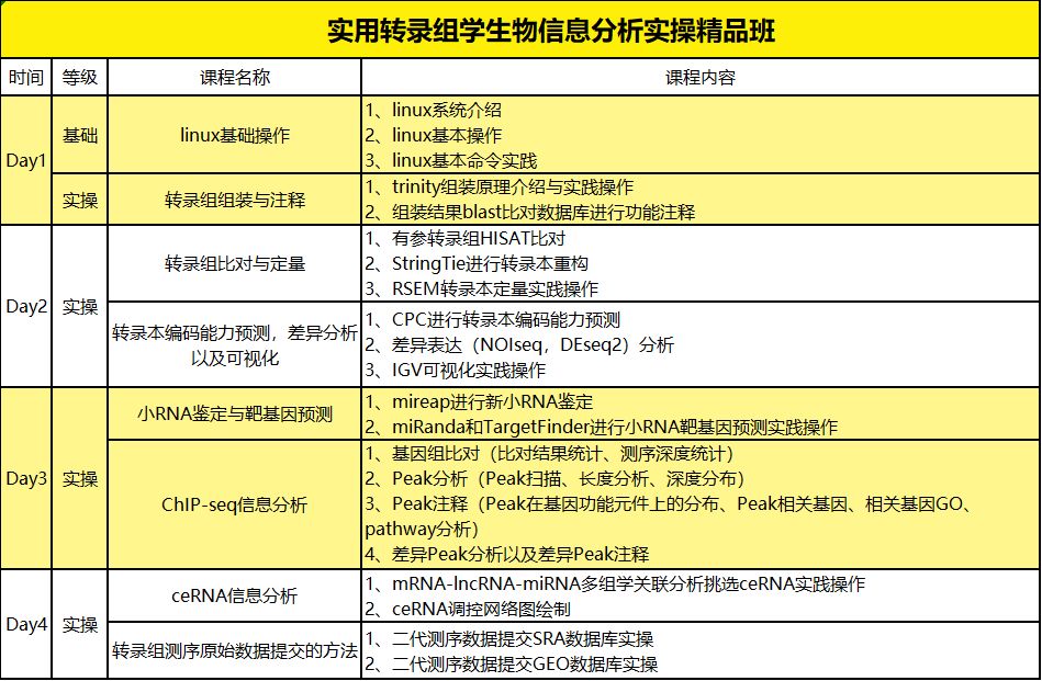 博云华康隆重推出转录组学大数据分析&R语言制图高阶研讨班