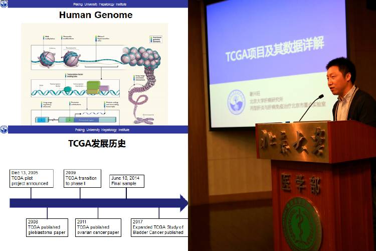 全程回顾丨肿瘤基因组学研究进展及公共数据库数据挖掘利用研讨会