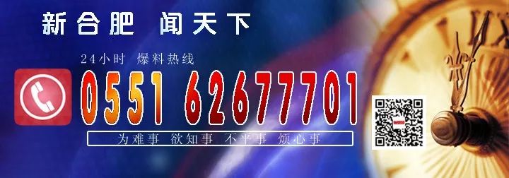 打造数字经济发展新引擎，全球硬科技开发者大会在肥召开