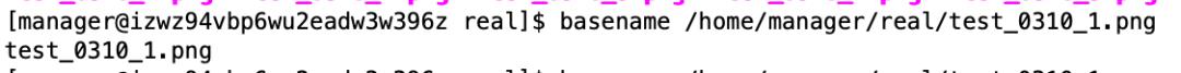 Linux命令：rename/basename/dirname