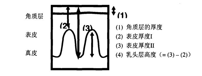 被亲妈坑？Talor Swift未经允许曝光的真素颜震撼我全家...