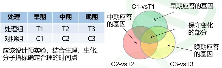 数据挖掘，我们有秘密武器（上）