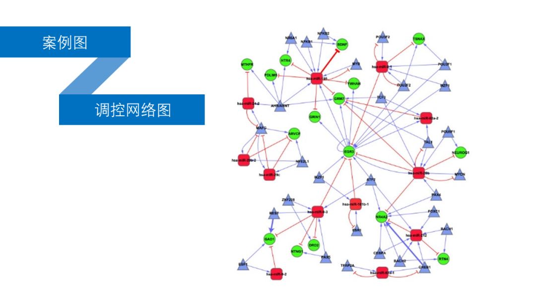 高通量数据挖掘与分析应该怎么学？