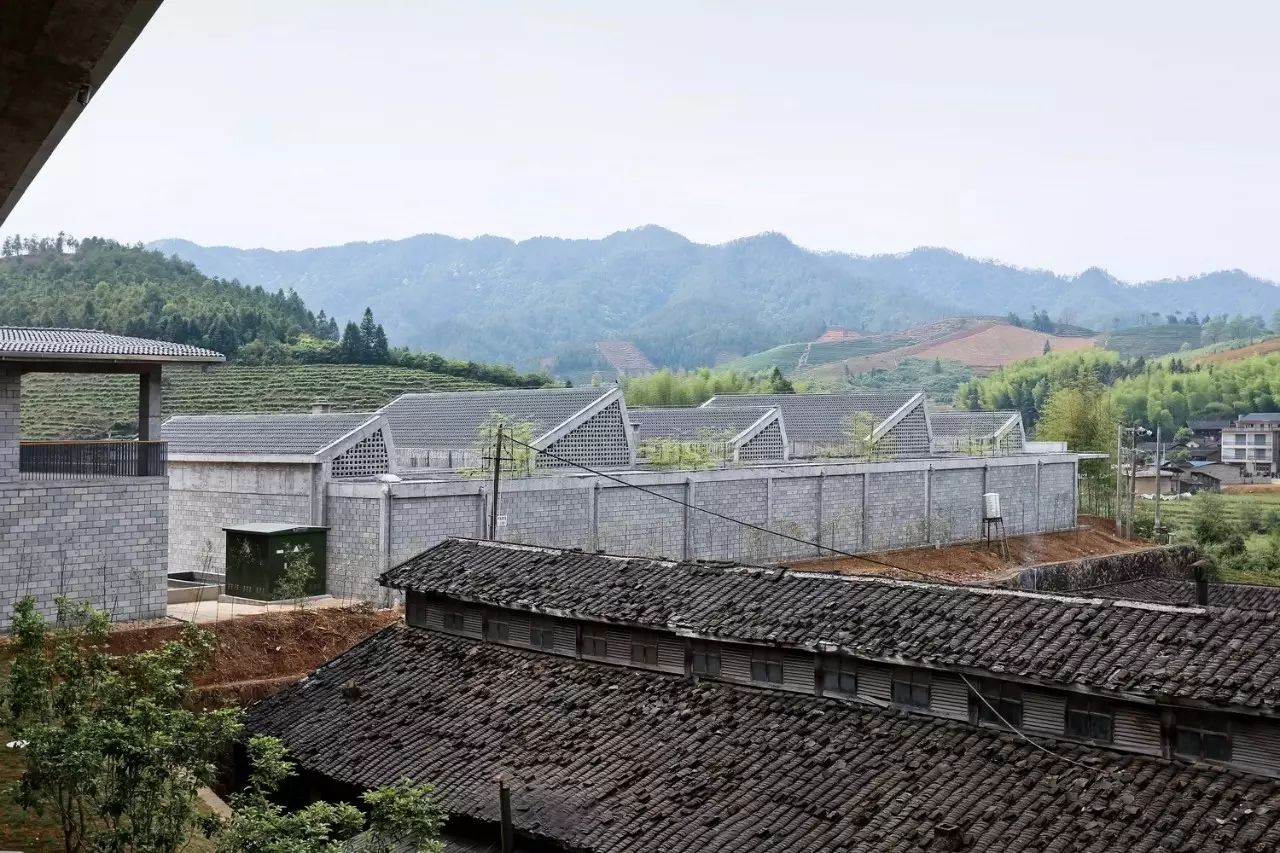 Wuyishan Bamboo Raft Factory / TAO - Trace Architecture Office