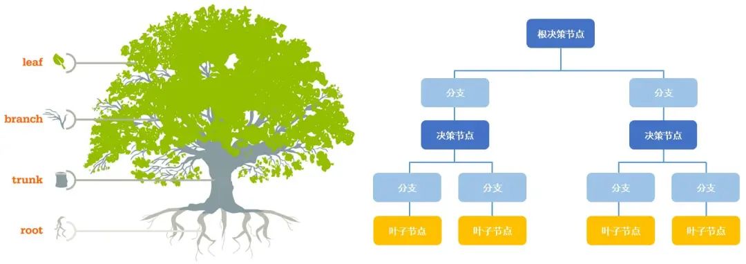 Stata锛氭満鍣ㄥ涔犲垎绫诲櫒澶у叏