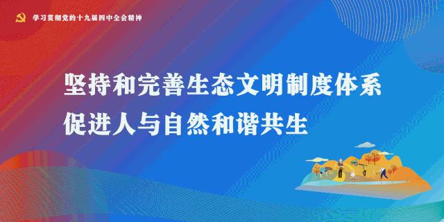 有你更精彩！华为开发者大会落幕，这些身影值得点赞！