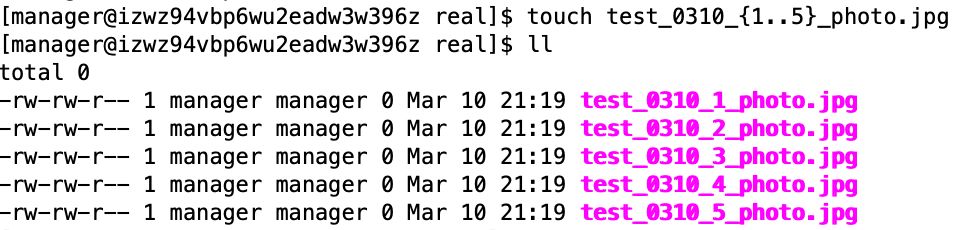 Linux命令：rename/basename/dirname