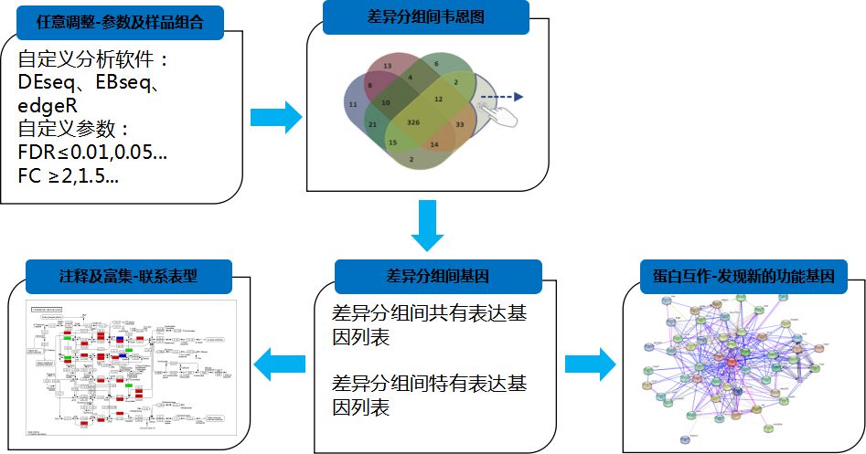 【干货分享】转录组测序数据挖掘思路&分析方法大放送