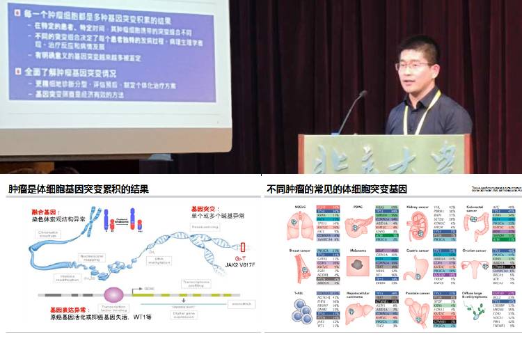 全程回顾丨肿瘤基因组学研究进展及公共数据库数据挖掘利用研讨会