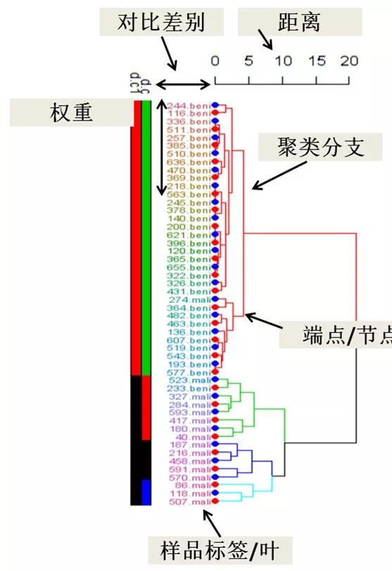 一手把握聚类分析，轻松实现数据挖掘的可视化