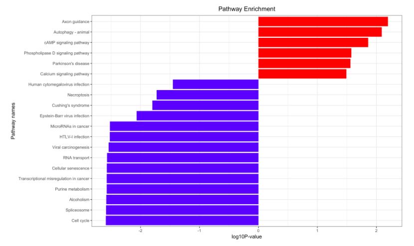 GEO数据挖掘流程+STRING VS R in KEGG/GO