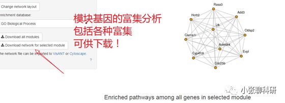 不会R语言？教你全程点击的方式做一套数据挖掘分析