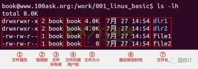 linux命令入门教程