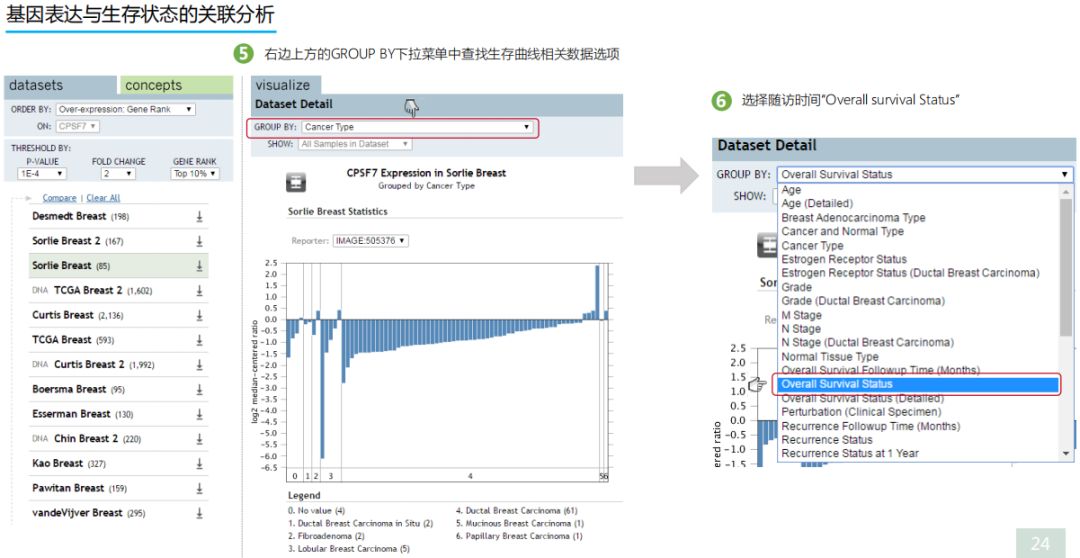 学好Oncomine，触摸肿瘤数据挖掘