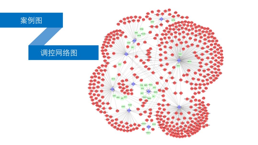 福利：测序与芯片高通量数据挖掘与分析学习班