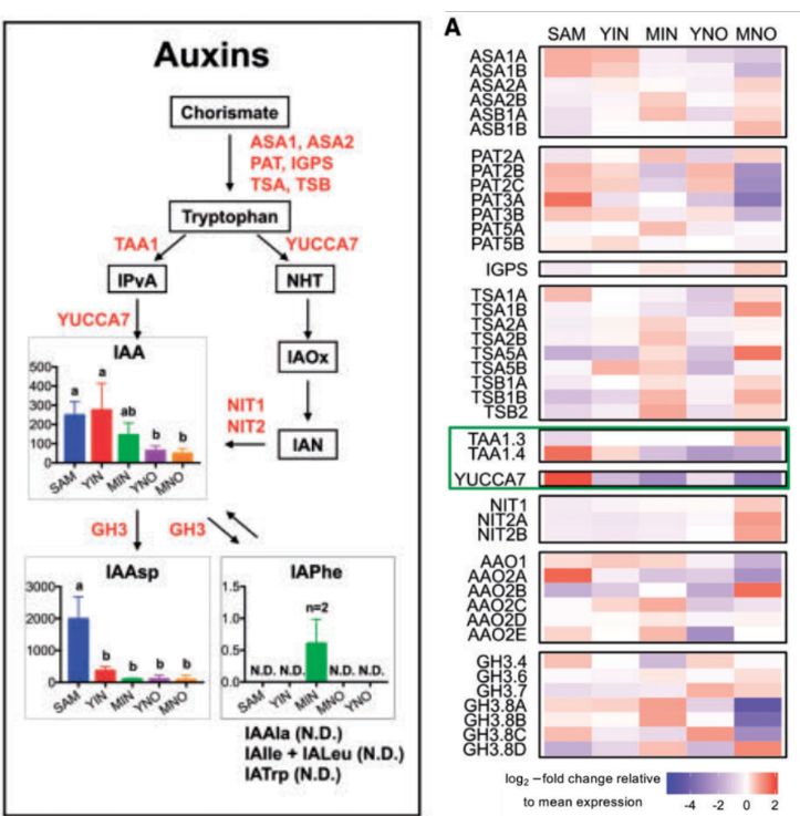 数据分析老司机带你玩转Plant-omics!